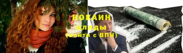 соль ск Алзамай
