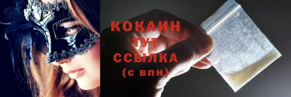 соль ск Алзамай