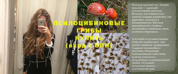 амфетамин Алексеевка