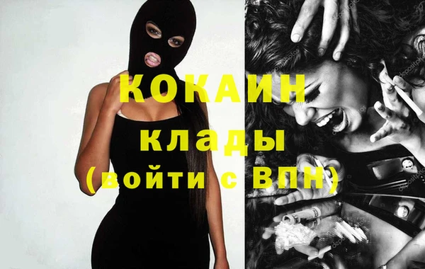 соль ск Алзамай