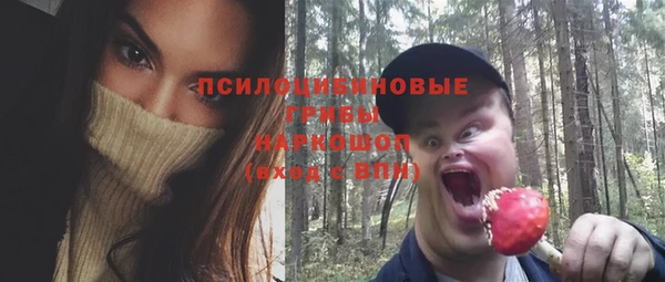 соль ск Алзамай