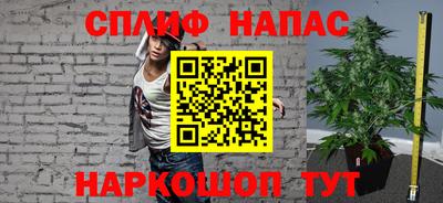 дживик Бийск