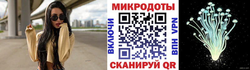 Псилоцибиновые грибы Psilocybine cubensis Ишим