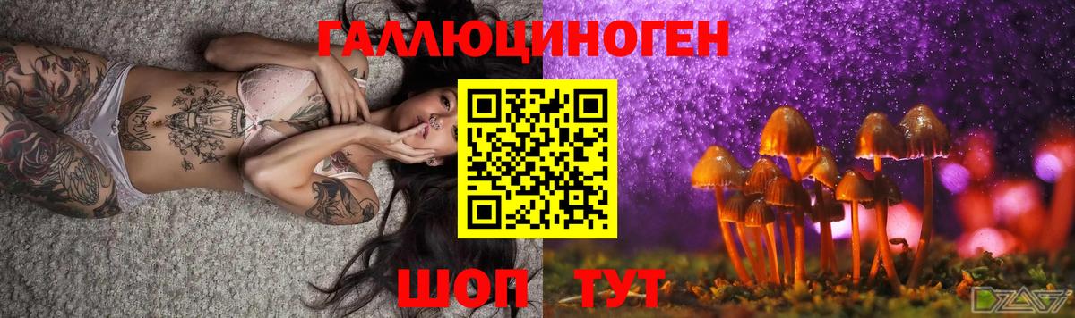 Галлюциногенные грибы прущие грибы  Вход с VPN  Ишим 